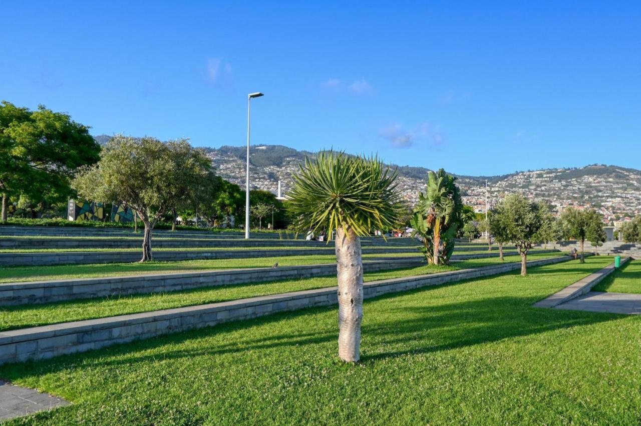 Apartamento Beco Santa Emilia 3j, A In Madeira *
